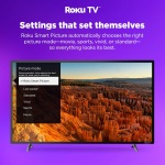 Hisense 32-Inch Class QD4SR Series Hi-QLED HD Smart Roku TV (32QD4HSR, 2026 - Image 22