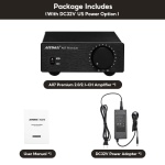 AIYIMA A07 Premium TPA3255 Power Stereo Amplifier with AUX Pre-Out 300W*2 - Image 8