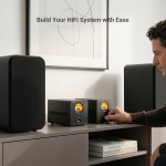 AIYIMA A20 Mono Hi-End Balanced Class D Power Amplifier TPA3255 300W & XLR - Image 7