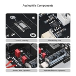 AIYIMA A20 Mono Hi-End Balanced Class D Power Amplifier TPA3255 300W & XLR - Image 3