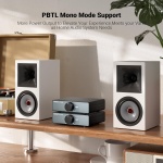 AIYIMA A07 MAX TPA3255 HiFi Power Amplifier 600W,Mono/Stereo Amp & Aux Out - Image 4
