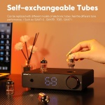 AIYIMA T20 Fully Balanced ECC83 Tube Preamplifier for Home Audio,XLR/RCA - Image 6