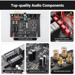 AIYIMA A20 TPA3255 Fully Balanced Stereo Amplifier with XLR,HPF - Image 4